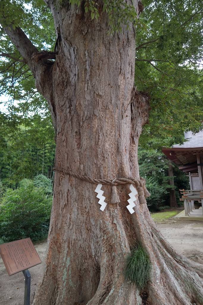 素鵞神社 - 御朱印あつめ 