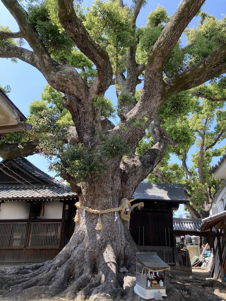 大念佛寺 - 御朱印あつめ 